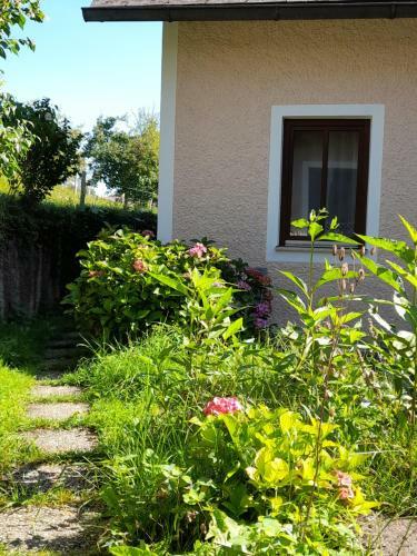 Apartamento Bio Bauernhof - Mini Shetland Ponyhof "almbauer"