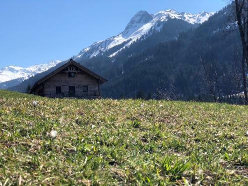 Alpenburg Luxury Apartments
