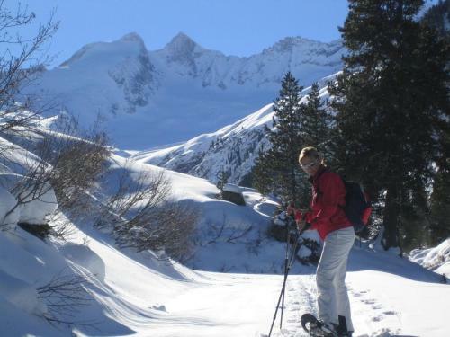 Apartamento Haus Kammerland