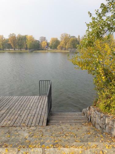 Bungalow At Lake Alte Donau