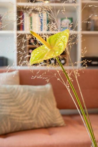 Apartment Vienna. Your Second Home Abroad