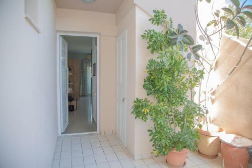 Apartamento Studio Athena With Panoramic View Of Makrygialos