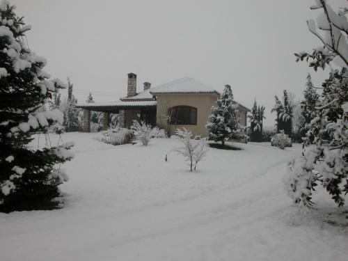 Villa The Garden Lodge