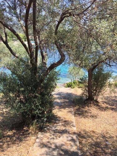 Villa Valia: Traditional Luxurious Residence
