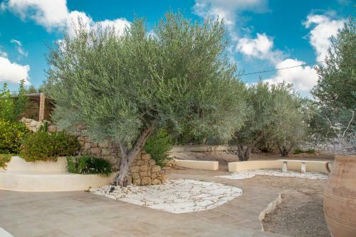 Metohi Villa Sitia