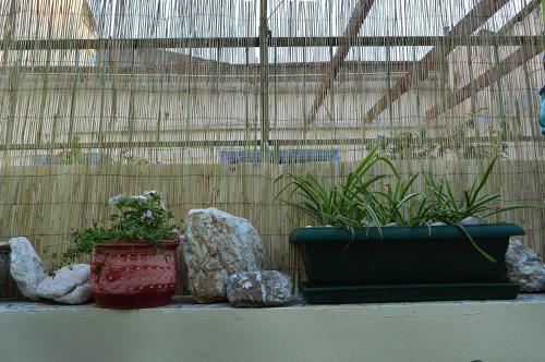 Apartamento Pireas Port Artistic House