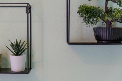 Apartamento La Casa Paterna