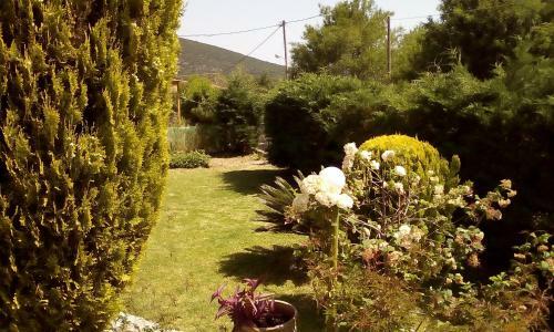 Dimitris House