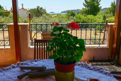 Olive Flavor Sensation Residence At Porto Cheli