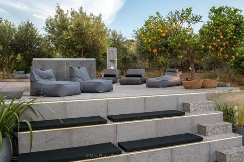 Orange Tree
