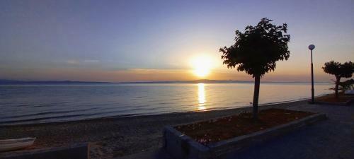 Lovely Maisonette Right In Front Of The Sea