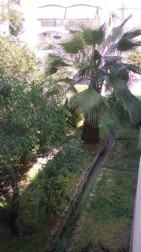 Apartamento Nireos Proteos 20