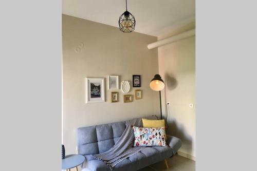 Silv Apartment(city Center)