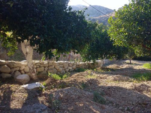 Agroturismo Aggelina