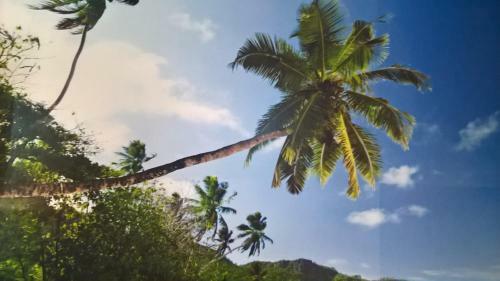 Apartamento Mare Sole