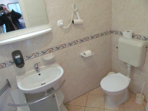 Hostal Zoldhaz Bio Panzio