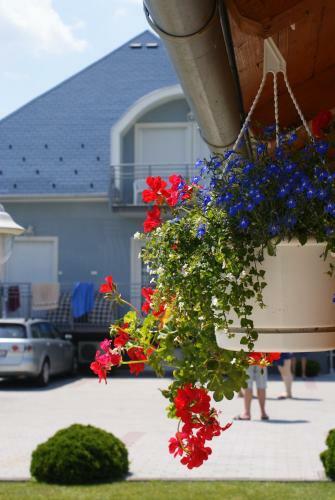 Hostal K�k Vend�gh�z Family Resort