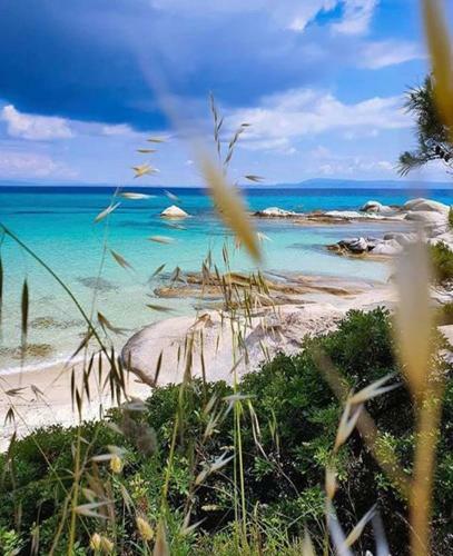 Apartamento Villa Asteria Sarti