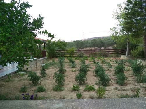 Agroturismo Eden Garden Villa
