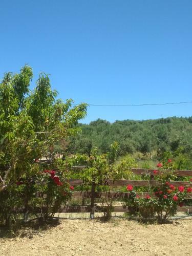 Agroturismo Eden Garden Villa