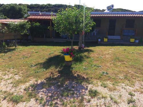 Apartamento Farma Giannis