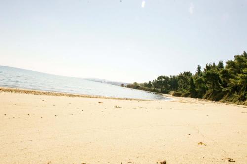 Apartment In Skala Fourkas,100m From The Beach