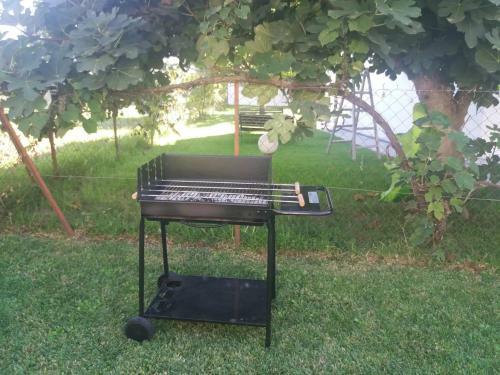 Apartamento Petite Palace Fourka Chalkidiki