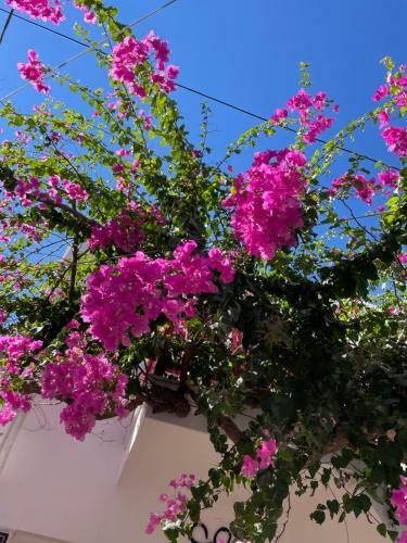 Apartamento Halkidiki Greek Pride Evlogia Seaside