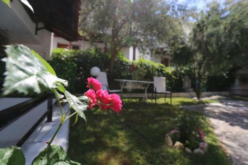 Apartamento Elia
