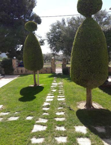 Olive Apartments