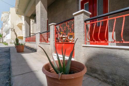 Aloe Apartments