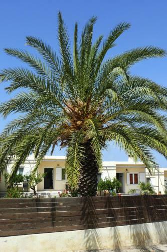 Agroturismo Countryside Apartment