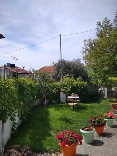 Loukia's House