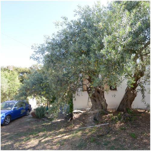 ?? ????? ?? ?? ?????? - Wellcottage Thassos