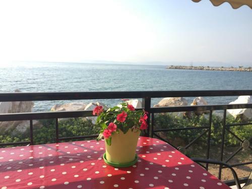 Kallisti Apartment
