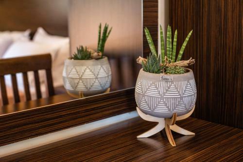 Hotel Makis Studios