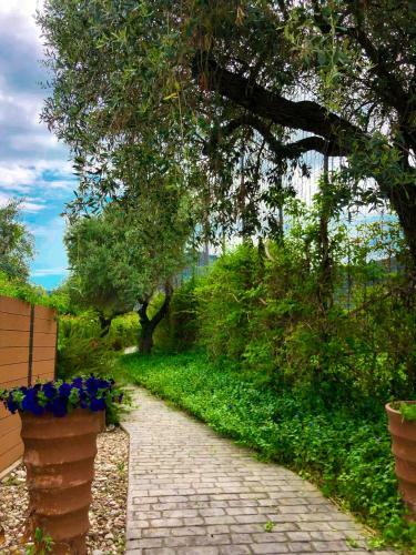 Olive Dream Thassos Luxury Villas