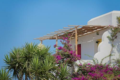 Bed & Breakfast Ailouros Summer Hotel