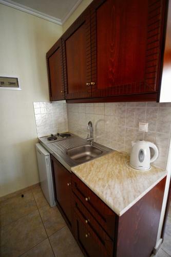 Apartamento Artemis Rooms Leptokarya