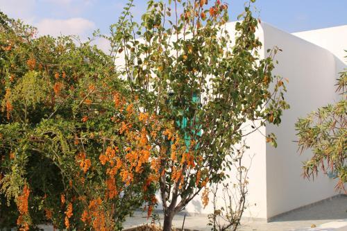 Apartamento Astypalea Villas