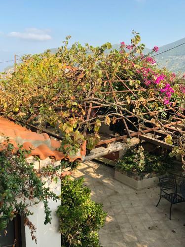 Apartamento Fasolaki, Skopelos, ????????