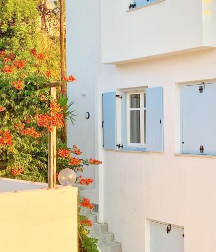 Apartamento Kalimera Homes