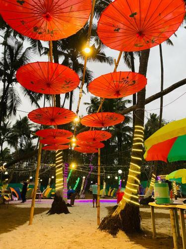 Beach Camping Alibag-revdanda