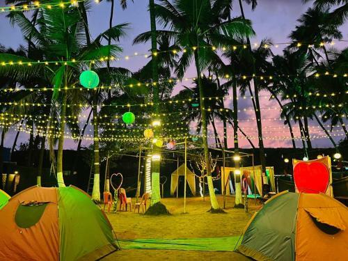 Beach Camping Alibag