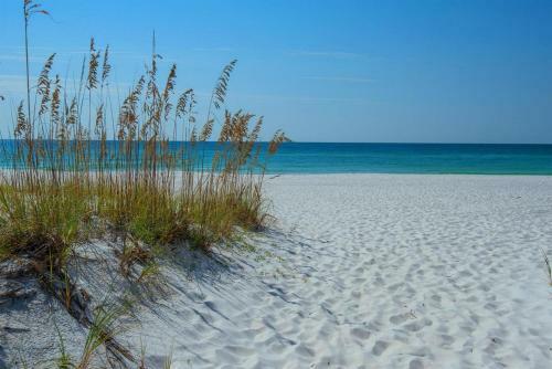 Seahorse By Pensacola Beach Properties