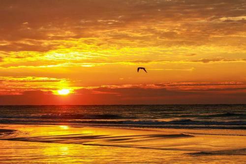 Seahorse By Pensacola Beach Properties