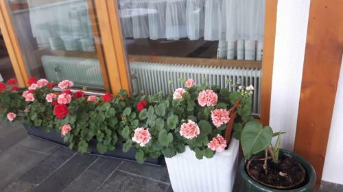 Apartamento Ferienwohnungen Regina Unger