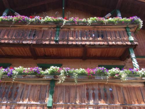 Apartamento �fnerhof
