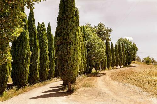 Agroturismo Il Boschetto