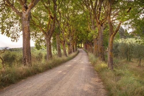 Agroturismo Il Boschetto